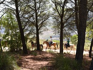 terza-edizione-del-raduno-equestre-appuntamento-per-gli-amanti-della-natura-e-del-turismo-a-cavallo