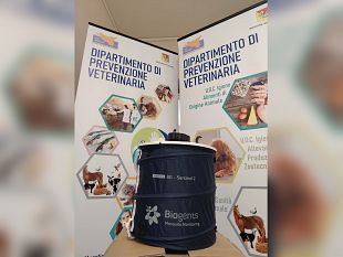 trapani/virus-west-nile-prevenzione-e-sorveglianza-veterinaria-allasp-di-trapani