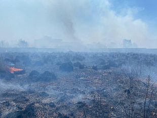 mazara-vasto-incendio-in-cda-boccarena-danneggiate-alcune-case
