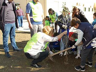 legambiente-trapani-al-via-la-festa-dellalbero
