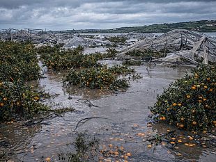 ciclone-harry-al-via-le-segnalazioni-danni-per-le-imprese-agricole-linvito-del-sindaco-anastasi