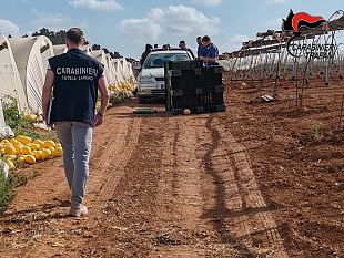 trapani/servizio-straordinario-in-agricoltura-sul-caporalato-e-lavoro-sommerso-a-trapani-e-provincia