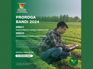 pantelleria-prorogato-il-bando-interventi-per-linsediamento-di-giovani-e-nuovi-agricoltori