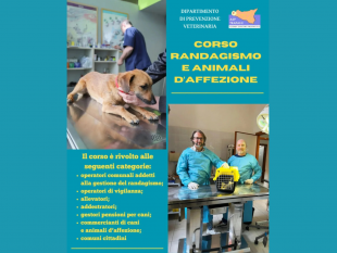 asp-trapani-disposta-la-proroga-delle-iscrizioni-per-il-corso-di-formazione-su-randagismo-e-animali-daffezione