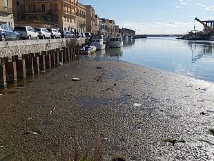 dragaggio-minimal-del-porto-canale-ancora-un-sopralluogo-ma-nessuna-data