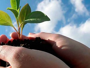 castelvetrano-uno-sportello-per-il-collocamento-e-contro-il-caporalato-in-agricoltura