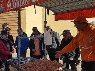 video-incontro-con-operatore-della-piccola-pesca-di-mazara-del-vallo