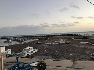 alghe-nel-porticciolo-marinella-m5s-presenta-uninterrogazione-urgente