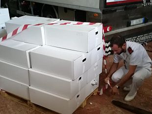 mazara-attivita-di-controllo-lungo-la-filiera-della-pesca-a-tutela-del-consumatore-finale