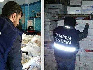 guardia-costiera-di-trapani-operazione-sulla-filiera-della-pescaconfine-illegale