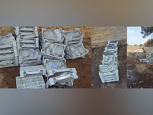 mazara-una-trentina-di-cassette-di-pesce-congelato-abbandonato-in-un-terreno-di-c-da-santa-maria