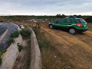 controlli-negli-ovili-tra-paceco-e-misiliscemi-sanzioni-per-oltre-8-mila-euro-a-un-allevatore