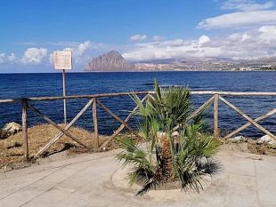 bonagia-effettuata-bonifica-straordinaria-sul-lungomare