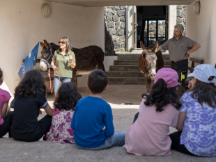 a-scuola-di-natura-a-pantelleria-con-il-progetto-delfini-guardiani