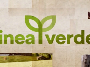 ordinanza-pm-per-linea-verde