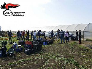 insediamenti-abusivi-di-lavoratori-stagionali-4-denunciati-a-salemi