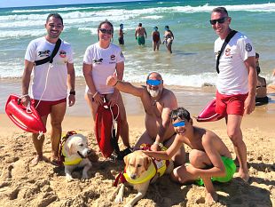 tre-persone-salvate-in-mare-dai-cani-bagnini-nala-e-baloo