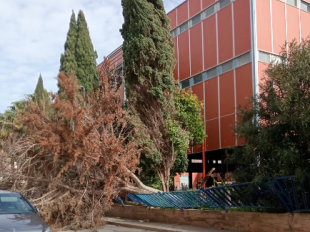 mazara-maltempo-il-forte-vento-provoca-danni-allic-boscarino-castiglione