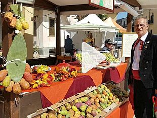 video-ficodindia-fest-a-santa-margherita-di-belice-sapori-e-folklore-nella-terra-del-gattopardo