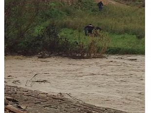 le-immagini-del-salvataggio-dei-carabinieri-delluomo-caduto-nel-fiume-modione