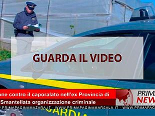 prima-news-del-14-maggio-2019-prima-edizione