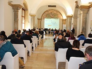 torna-turisti-per-cosa-lanalisi-annuale-sul-movimento-turistico-in-provincia-di-trapani