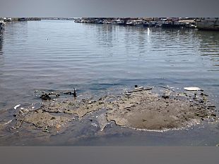 cristaldi-qualcosa-comincia-a-muoversi-per-la-pulizia-del-fiume-mazaro