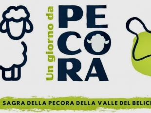 belice/santa-ninfa-domenica-torna-la-sagra-della-pecora-della-valle-del-belice