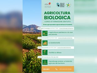 pantelleria-un-corso-sullagricoltura-biologica-promosso-dal-parco-nazionale