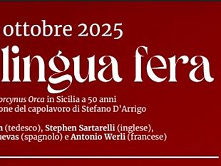 la-lingua-fera-di-darrigo-sbarca-a-gibellina-per-tradurre-la-sicilia