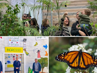 ritorna-a-marsala-la-casa-delle-farfalle-sara-inaugurata-il-25-febbraio