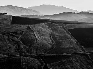 ultime-della-sera-gli-iblei