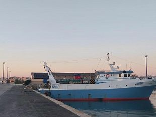 torna-la-luce-al-porto-nuovo-di-mazaranon-e-un-pesce-daprile