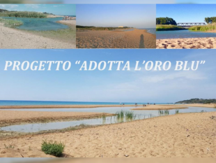 il-rotary-club-partanna-promuove-una-giornata-di-pulizia-lungo-la-costa-da-selinunte-alla-foce-del-belice