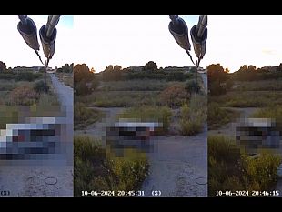 abbandono-di-rifiuti-individuato-e-denunciato-allautorita-giudiziaria