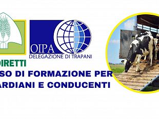 coldiretti-avvia-corsi-di-formazione-per-guardiani-e-conducenti-di-animali-vivi