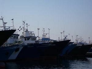 de-profundis-per-la-pesca-mazarese-politica-latitante-e-nuove-generazioni-scappate