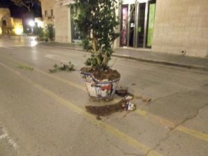 rotti-tre-vasi-in-ceramica-nel-corso-umberto-i-cristaldi-una-pratica-incivile