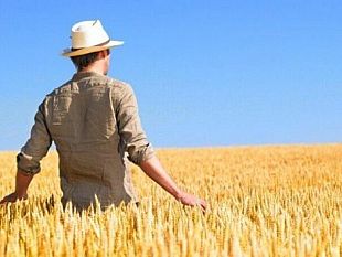 castelvetrano/mobilitazione-degli-agricoltori-contro-il-caro-canoni-irrigui