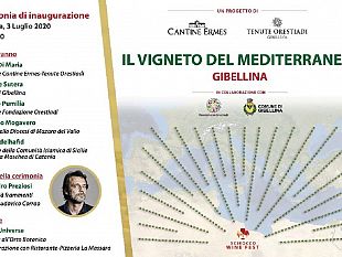gibellina-verra-inaugurato-venerdi-il-vigneto-del-mediterraneo-progetto-di-tenute-orestiadi-cantine-ermes