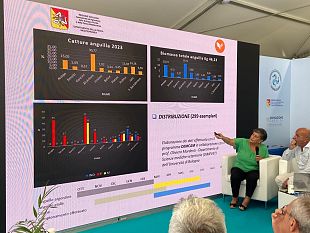 il-blue-sea-land-al-g7-di-siracusa-incontri-su-sinergie-opportunita-e-la-sostenibilita-dellacquacoltura