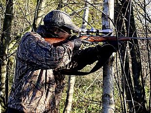 trapani/loipa-chiede-a-musumeci-di-sospendere-la-stagione-venatoria