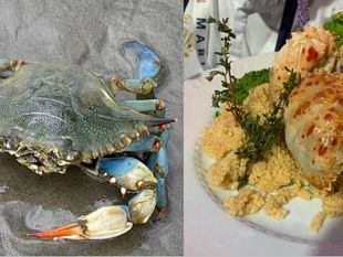 mazara/blue-sea-land-il-granchio-blu-non-fa-piu-paura-conclusa-lxi-edizione