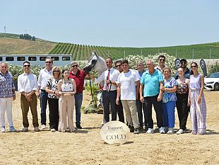 buseto-palizzolo-si-chiude-la-trapani-arabian-horse-cup-2026-assegnati-gli-8-titoli-in-palio