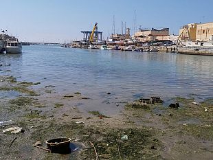 dragaggio-porto-misuraca-replica-a-corrao-sulla-laguna-di-tonnarella