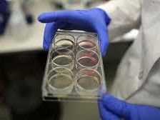 trapani-stamina-effettuata-infusione-su-un-bambino-di-trapani