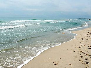 mazara-pulizia-arenili-effettuata-dal-comune-e-sussidiaria-imprese