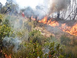 obbligo-di-tenere-puliti-i-terreni-per-prevenire-gli-incendi-dal-15-giugno-controlli-sul-territorio-comunale-di-marsala