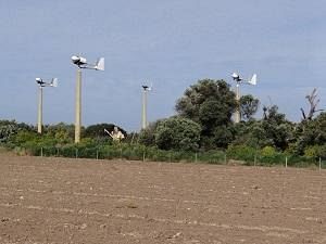 marsala-mozia-smantellate-le-vecchie-pale-eoliche-grazie-a-terna-restituita-la-bellezza-nel-sito-archeologico