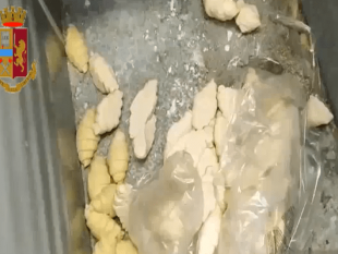 blatte-dentro-il-bar-e-nei-laboratori-sospesa-attivita